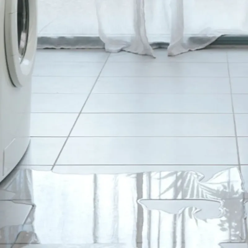 Appliance Leak Cleanup in Aurora, MO