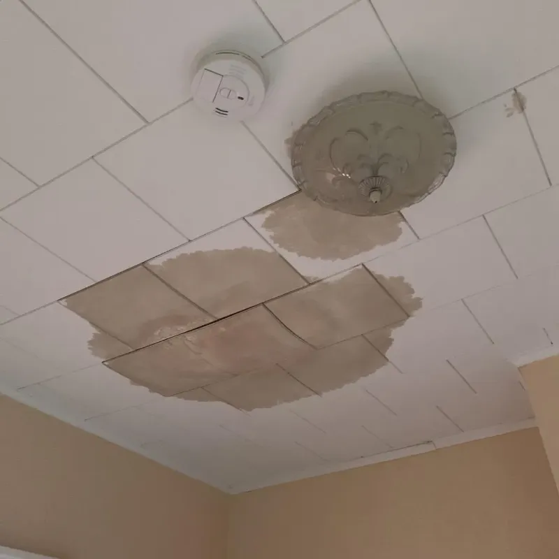 Ceiling Water Damage Repair in Aurora, MO