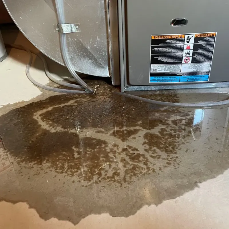 Pipe Burst and Leak Restoration in Aurora, MO