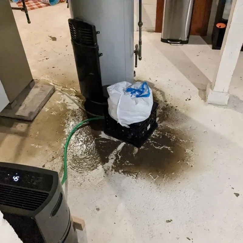 Sewage Backup Cleanup Service in Aurora, MO
